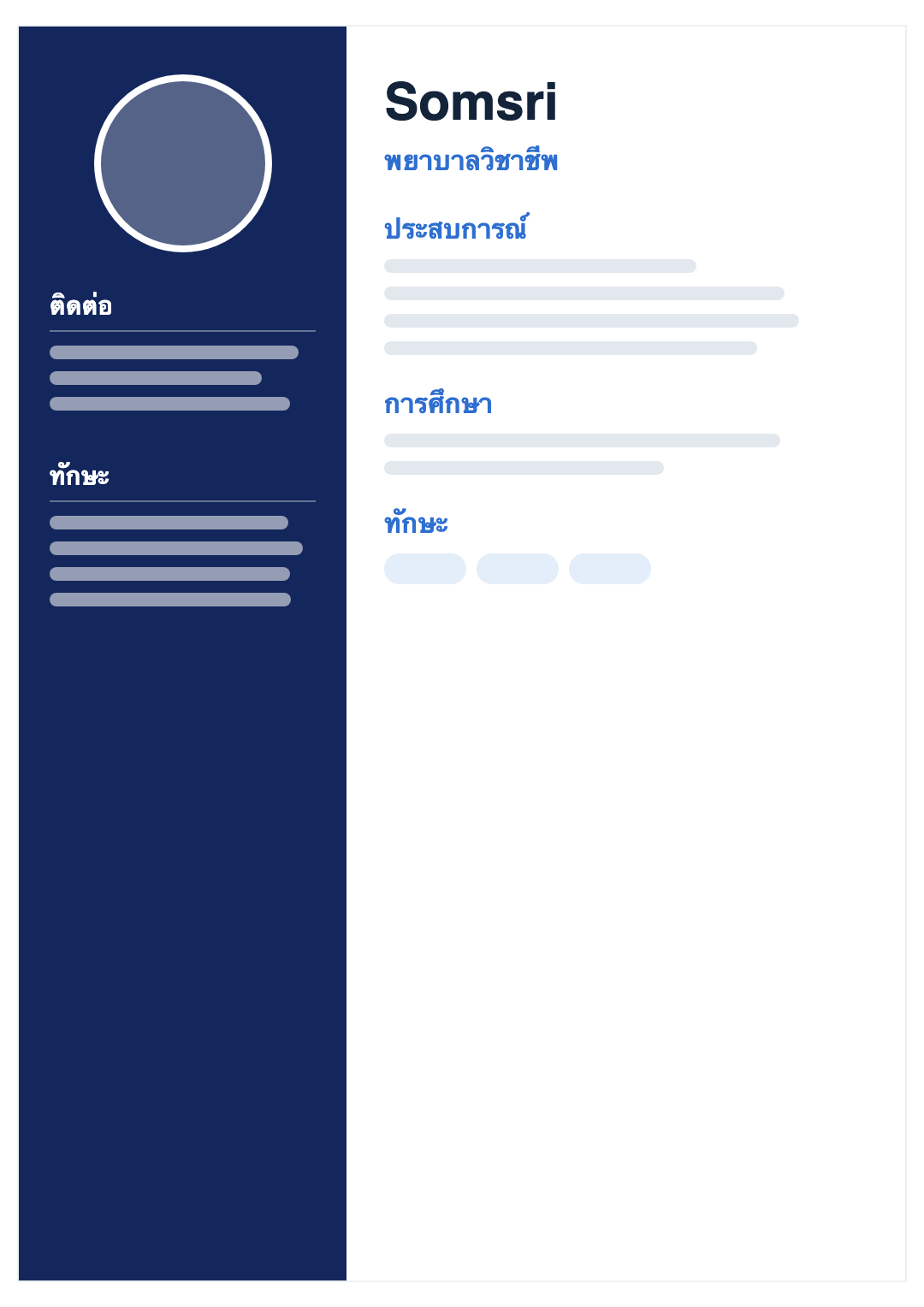 Navy CV template