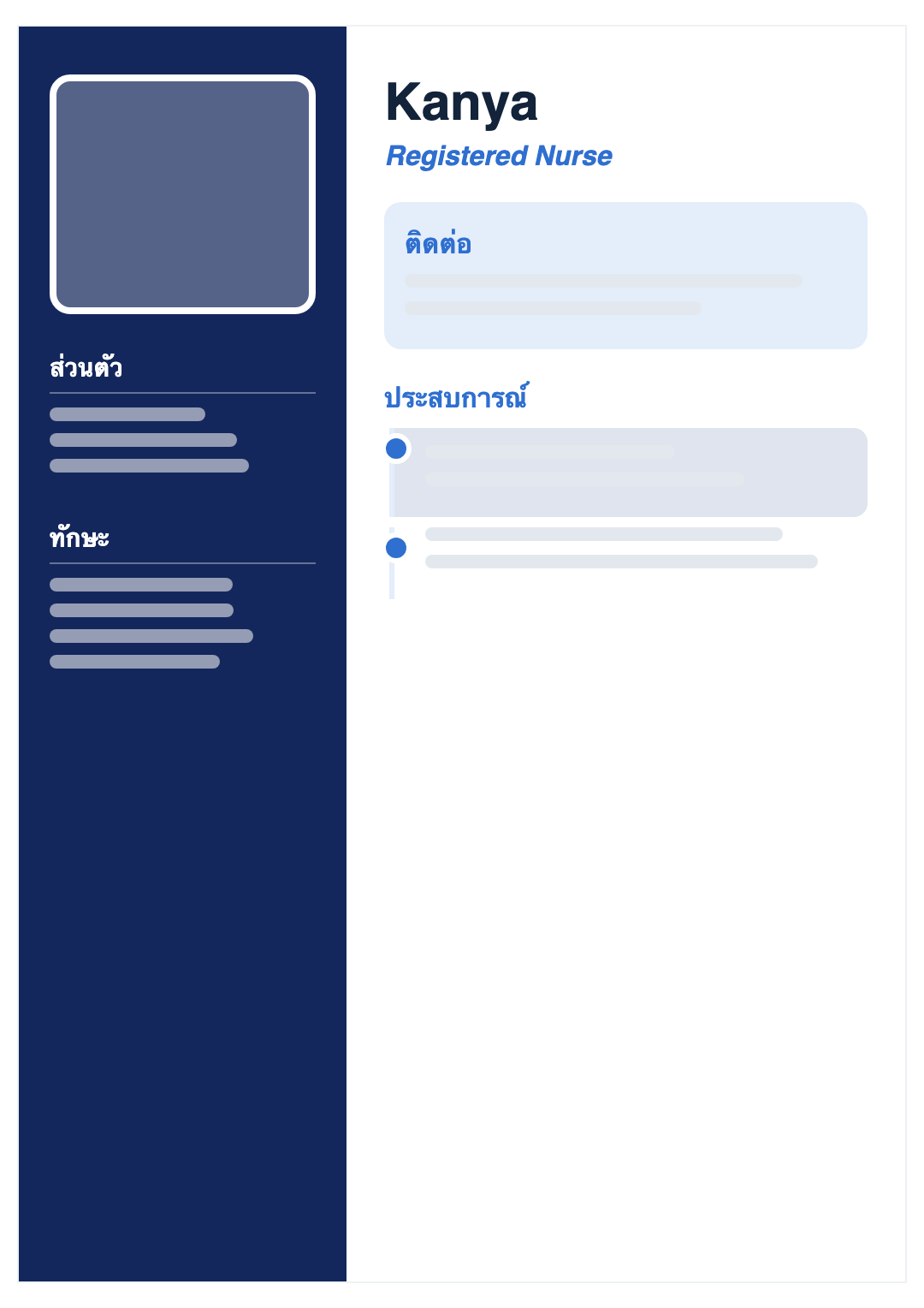 Navy Pro CV template